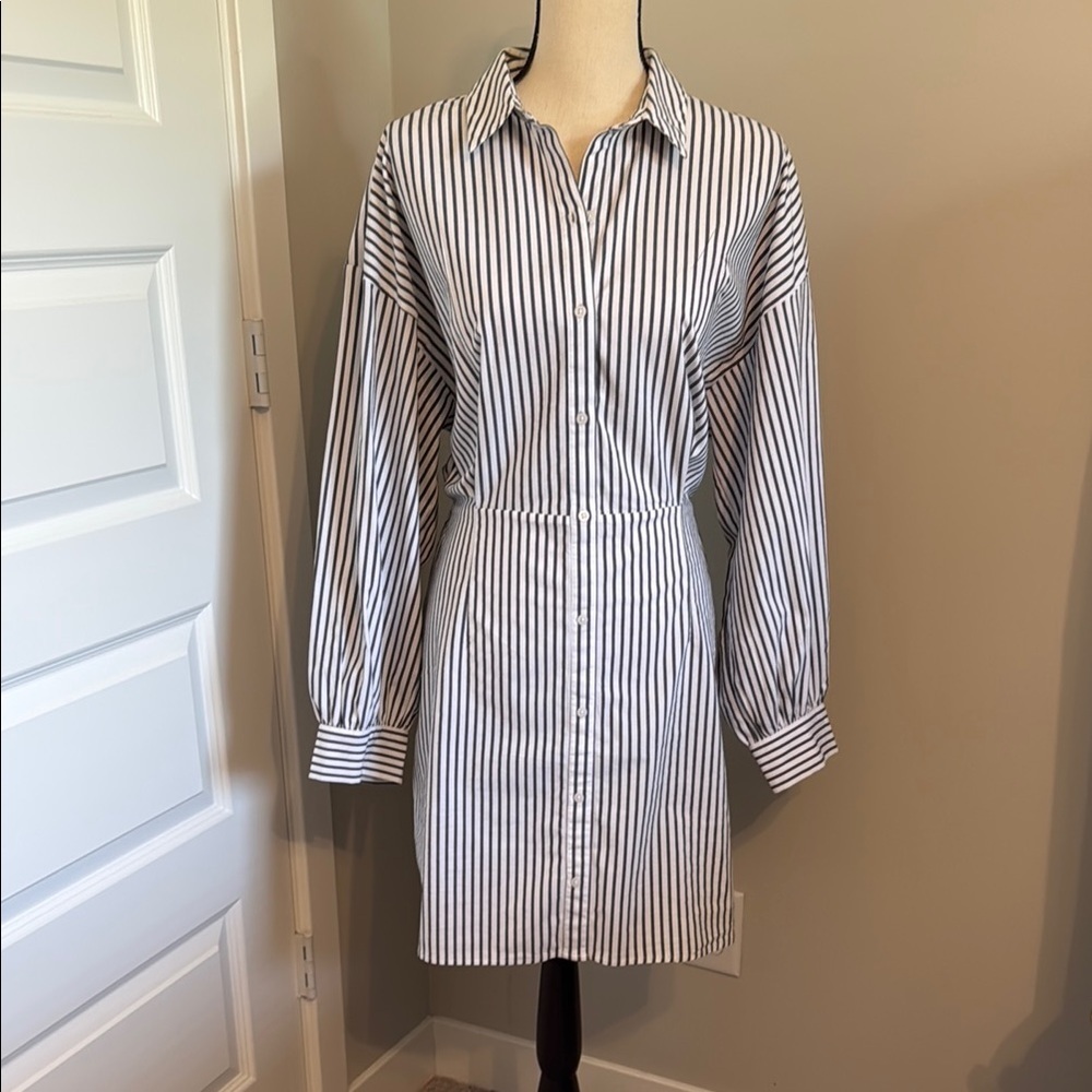 Express Blue and White Striped Long Sleeve Dress